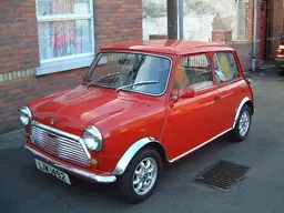 allymini1.webp