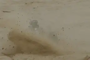 Baja4-2.webp