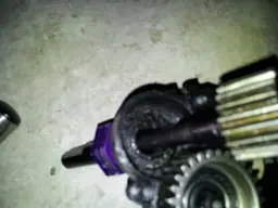 5215cb9d-2c40-4a28.webp