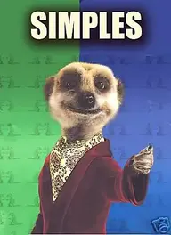 meerkat.webp
