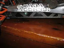 catsrjandbaja014.webp