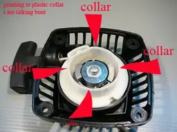 collar.webp