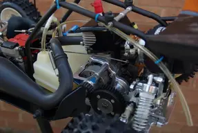 newpicsofmarderleopard062.webp