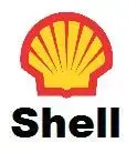 Shell 1.webp