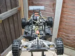 leopard8.webp