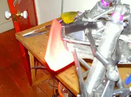 nnnp 002.webp