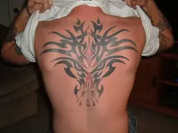backpiece.webp
