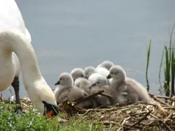 DSC02192.webp
