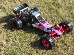 PinkPanther1.webp PinkPanther1.webp