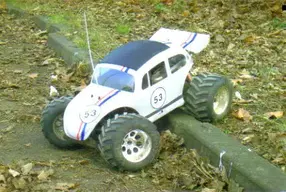 herbie.webp