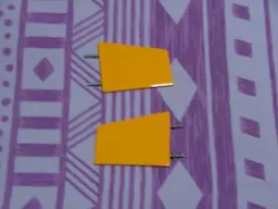 DSCF2881.webp