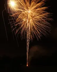 tcbj.webp