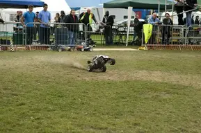 bug pulling wheelielys.webp