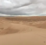 dunes.webp