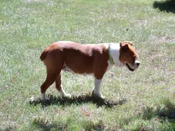 100_0017.webp