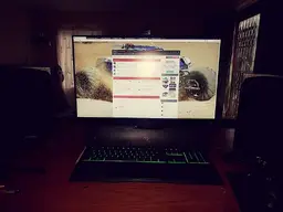 1537777331697.webp