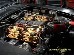 Hydro dipped GTO coil covers 2.webp