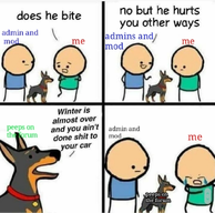 49576