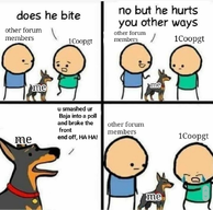 49577