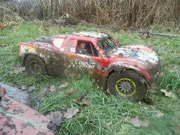 losi01.webp
