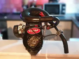 20190214_081531.webp