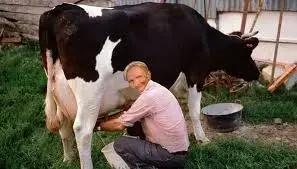52379