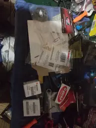 15635900787645001091154238413168.webp