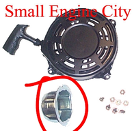 Briggs-497598-Starter.webp