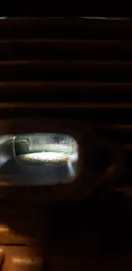 53314
