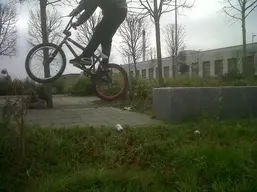 Picture 001.webp