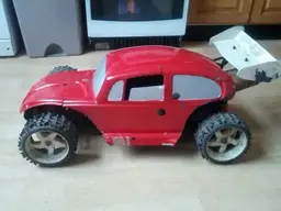 Fg beetle 3.webp