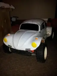 bug 1.webp