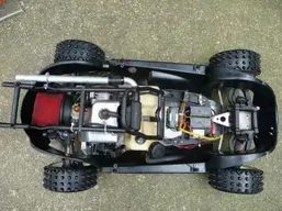 beetle marder 1.webp