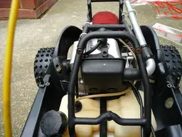 bettle marder 4.webp
