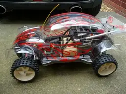 beetle marder 6.webp
