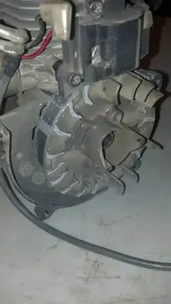 uploadfromtaptalk1352646878257.webp