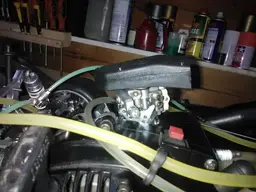 WP_000334.webp