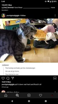Screenshot_20191207-174818.webp