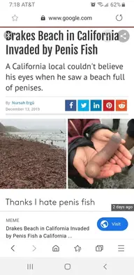 Screenshot_20191217-191842_Samsung Internet.webp