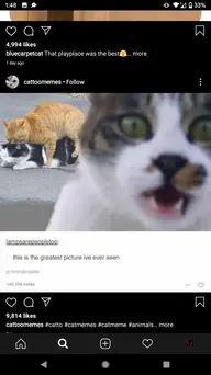Screenshot_20200201-014832.webp