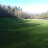 15887132040131900725416338430048.webp