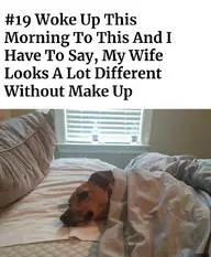 wife+ makeup.webp