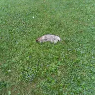 20190801_064352.jpg