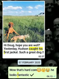 Screenshot_20200530-084953_WhatsApp.webp