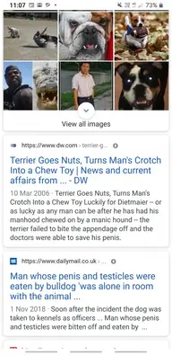 Screenshot_20200603-110742_Samsung Internet.webp