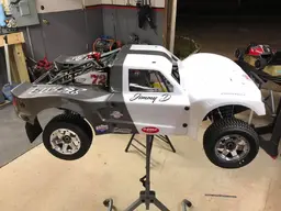 Losi 1.jpg