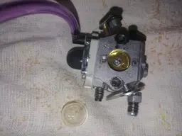 0613201937a.webp
