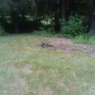 20200618_055317.webp