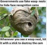 118247763_10222881446360582_4273124711578326386_n.webp