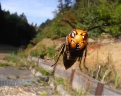 Capture+_2020-08-28-14-36-01.webp Capture+_2020-08-28-14-36-01.webp